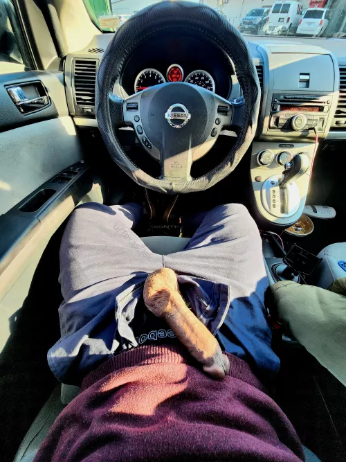 Would you stop and stare if you walked by?