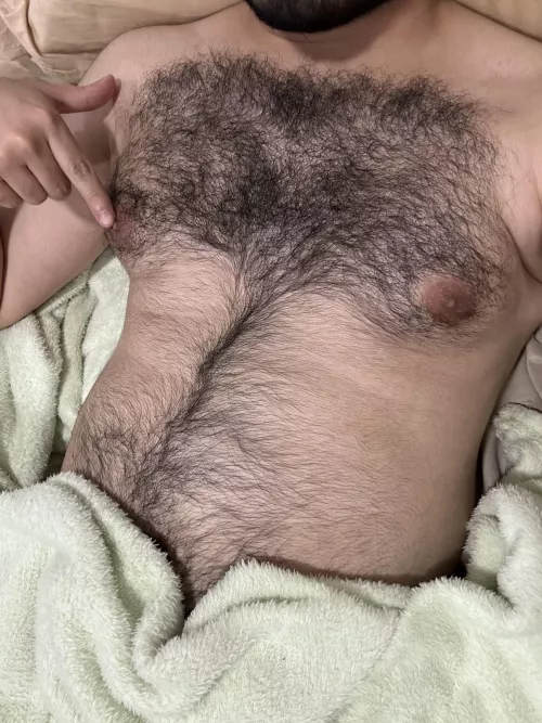 28 Arab / Snap: gayhairyvers