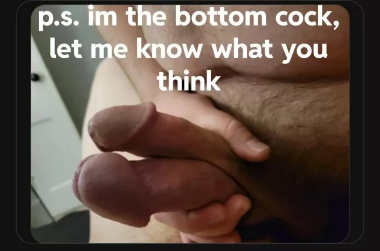 Anyone else love this?