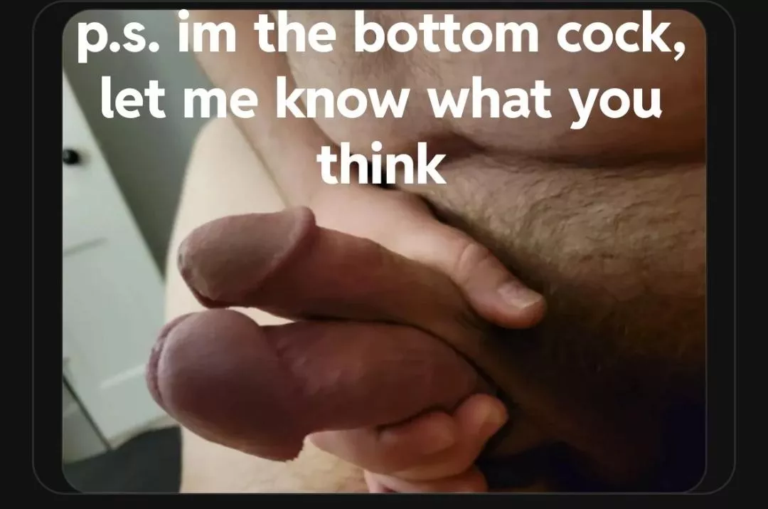 Anyone else love this?