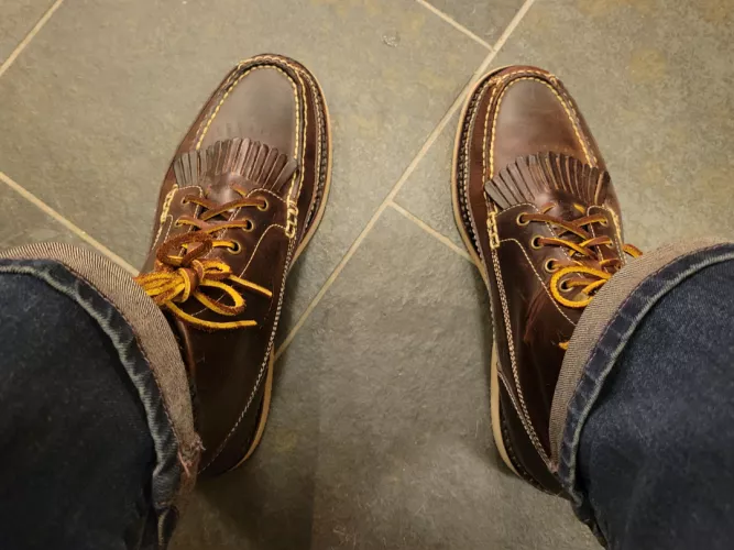 Eastland Belgrade Mock Toe boots got the call today.