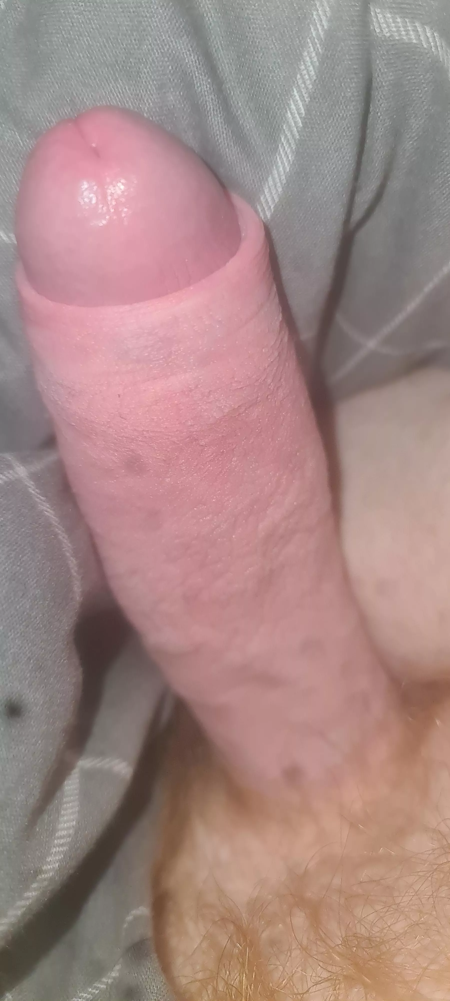 Guess the size [24] UK