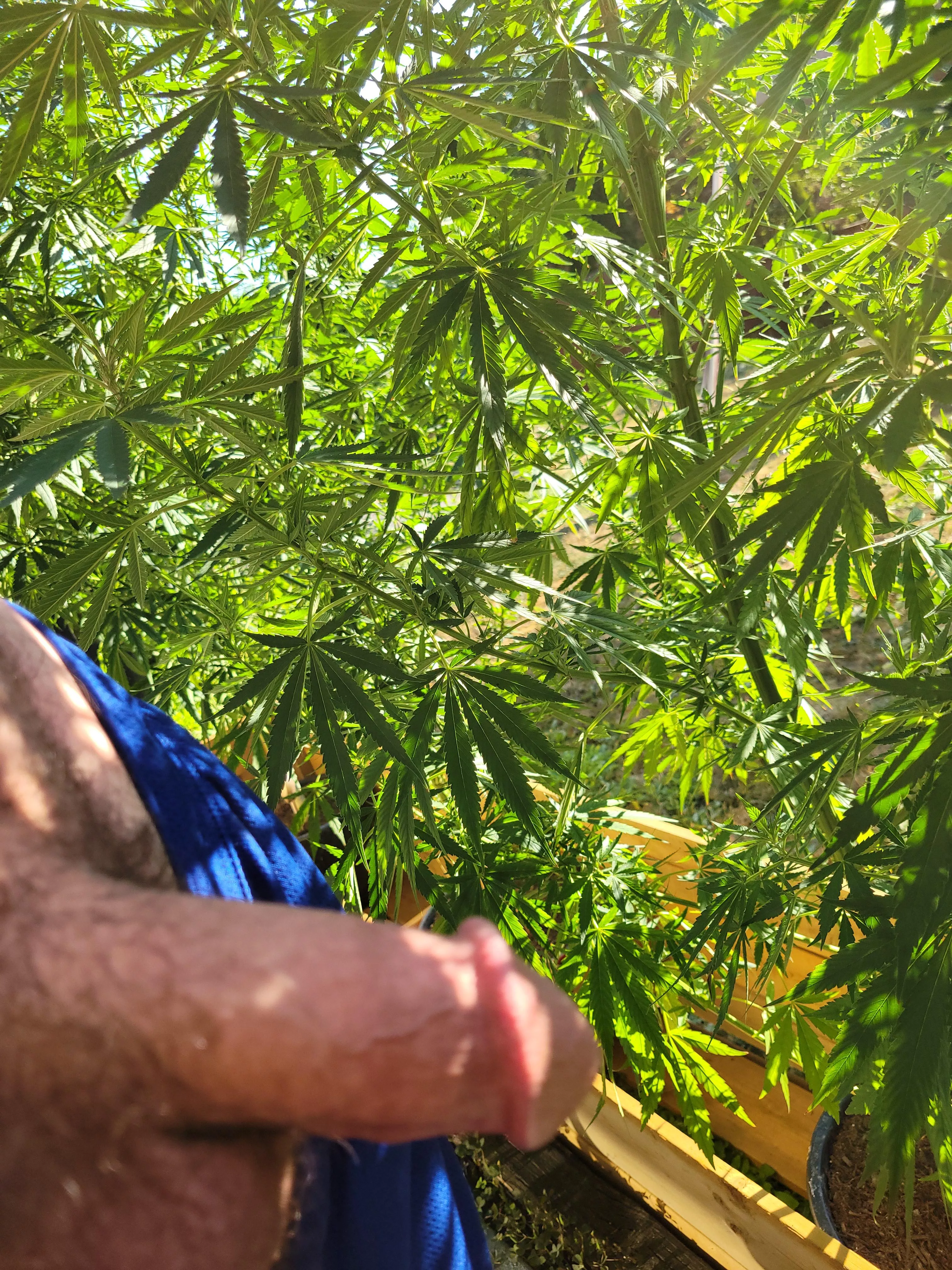 (M) Wanna smoke and suck