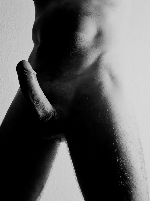 Sculpted symphony preserved in shadows, with story etched in light.