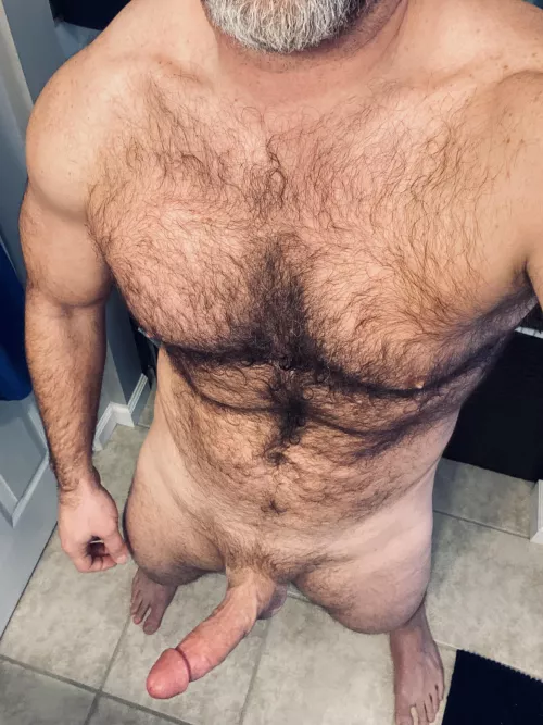 (42) furry chested daddy dom type…. 