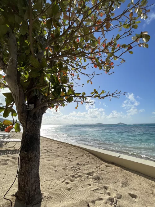 85F and sunny. Be here now.