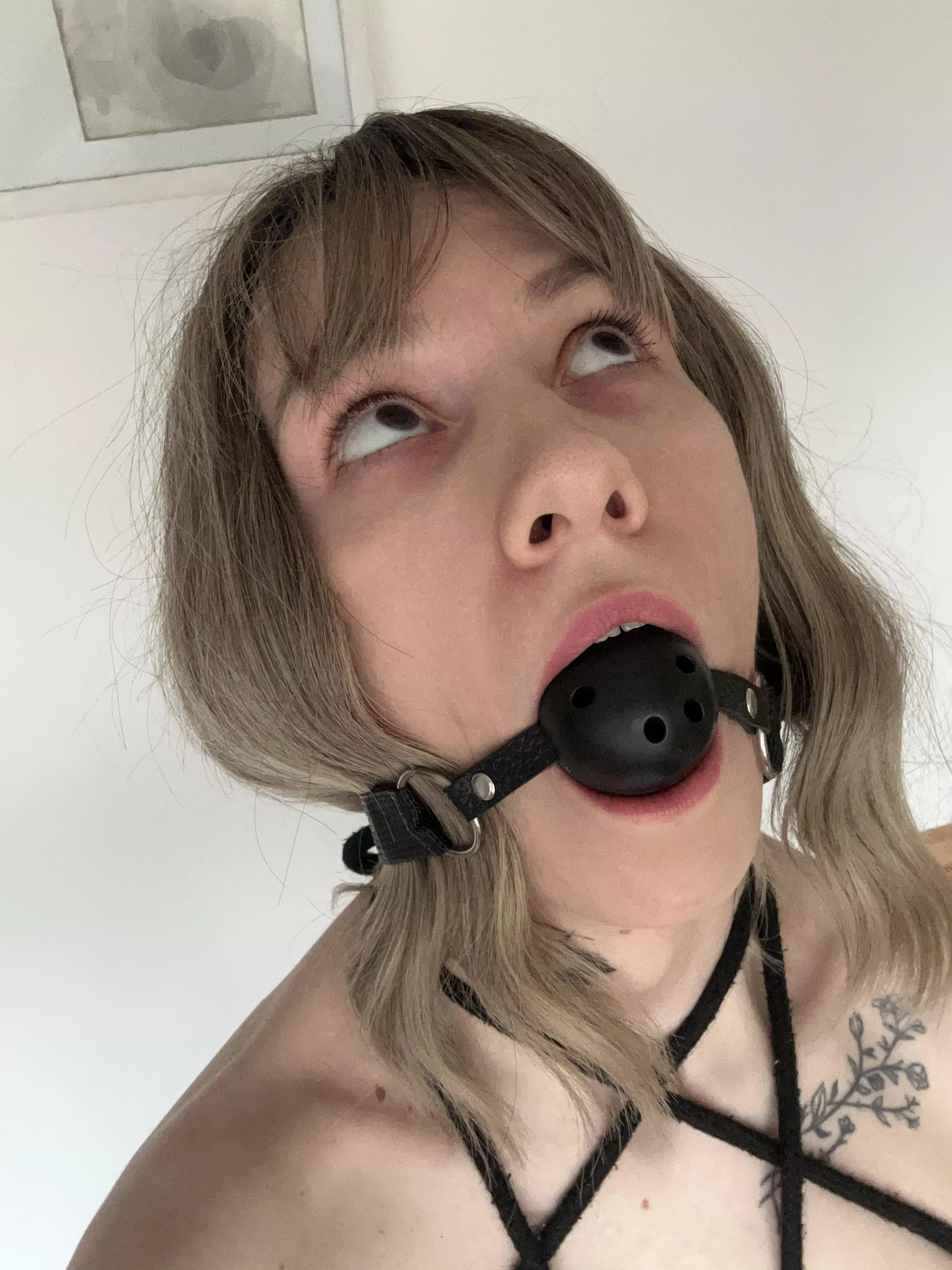 I am proud to introduce you to the best side of me