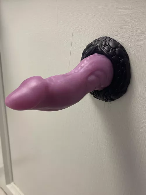 New bad dragon dildo 😁