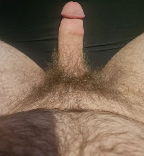 Wanna help a chubby bro out?