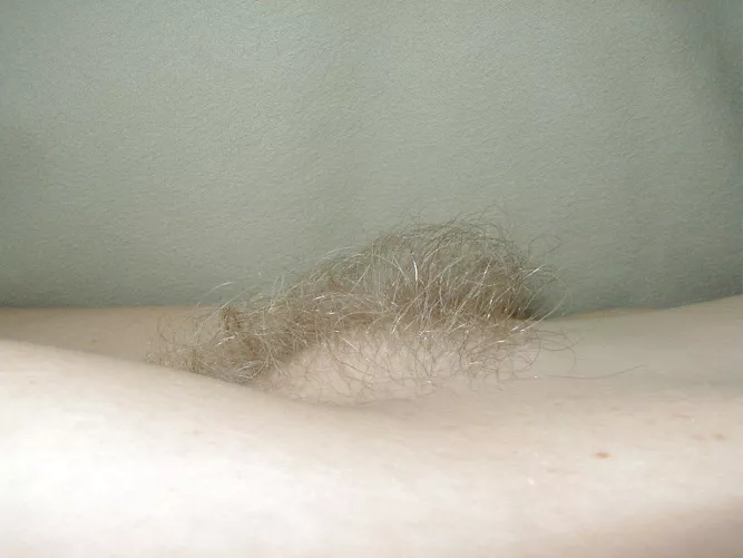 Blond bush from the side