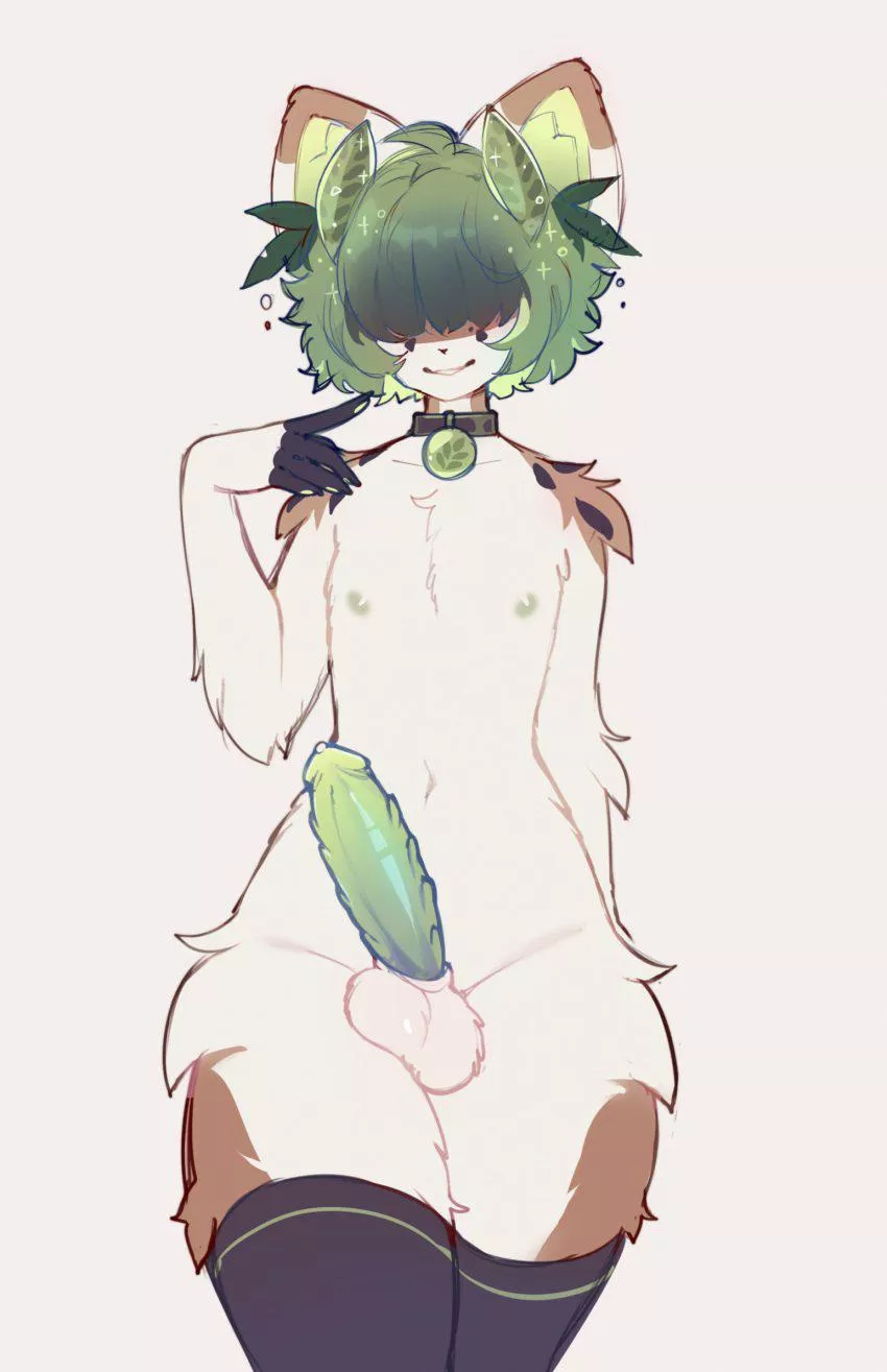 Cutie cat. (Hornyorangemoi)