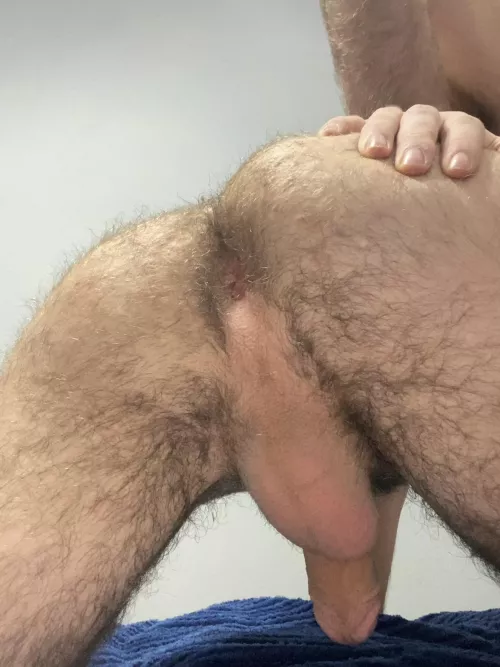 Keep it hairy or shave it?(20)