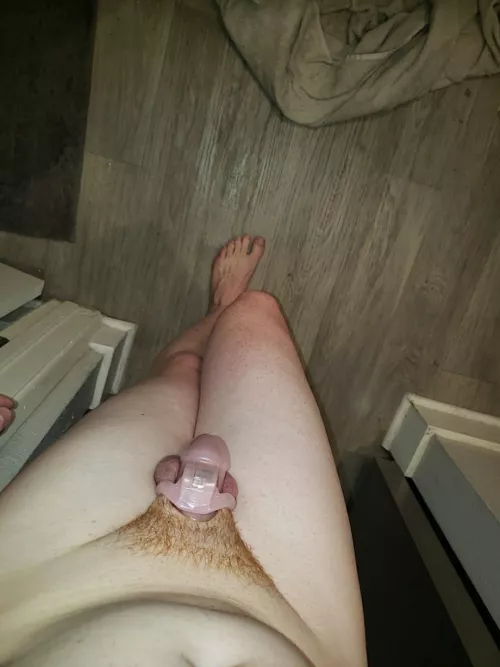 My freshly shaved POV 😂