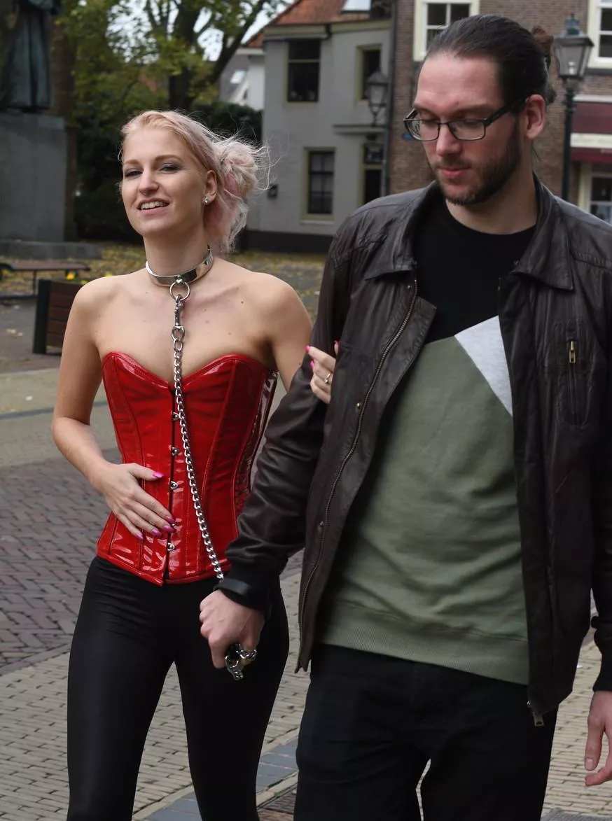 taking your pet on a night out