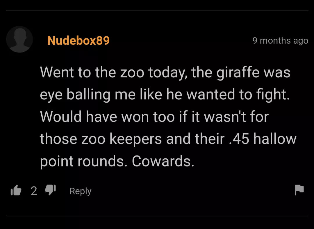 Zoo fight