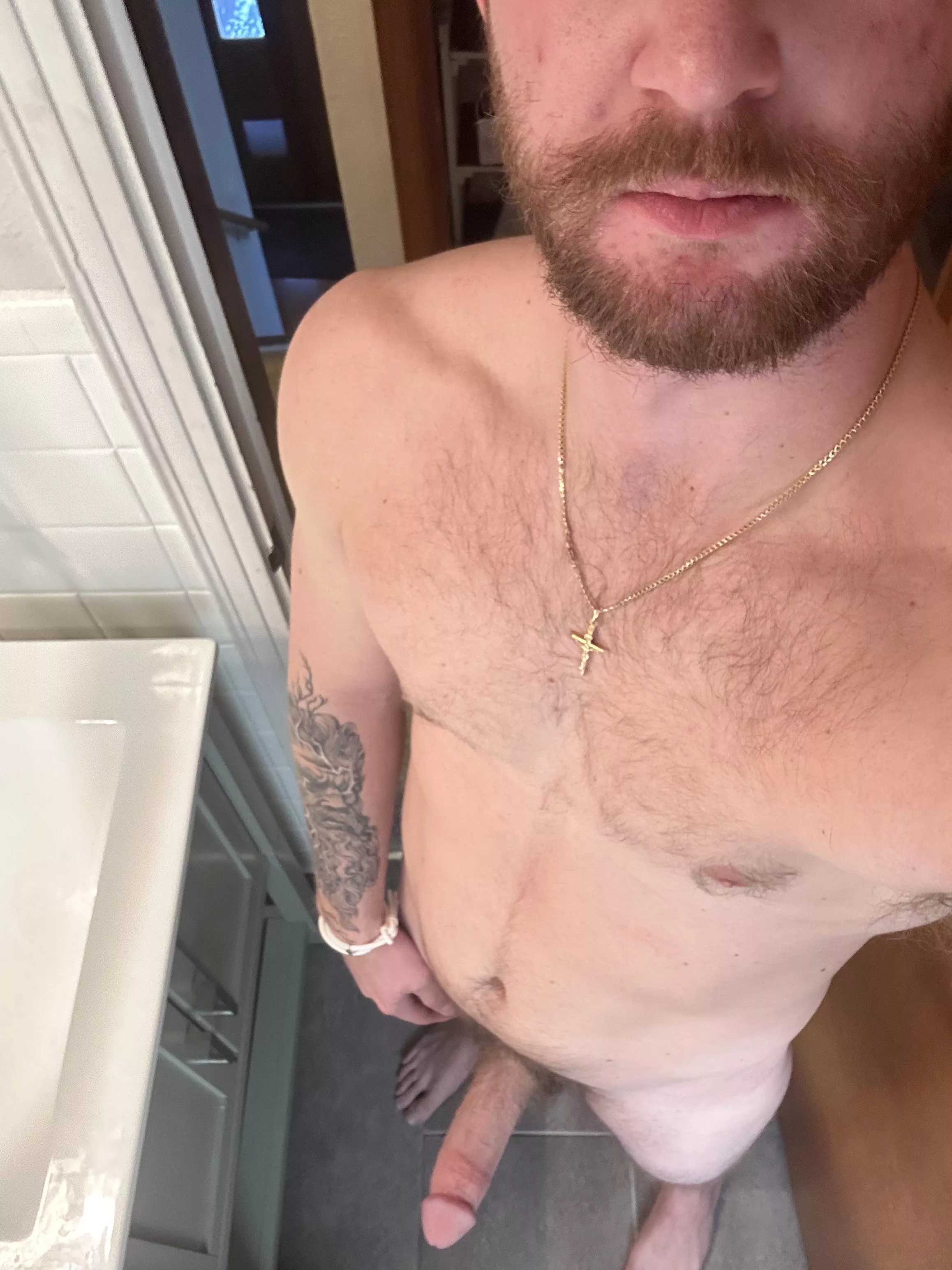 Say hi if i can breed you