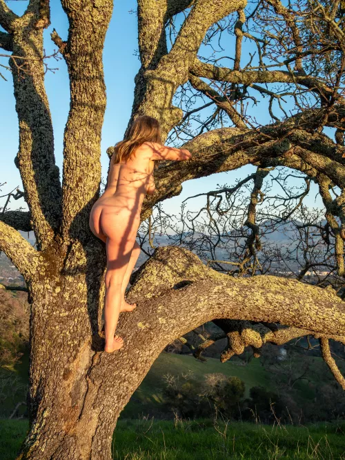 🌳Tree Pose Tuesday 🌳(more in comments)