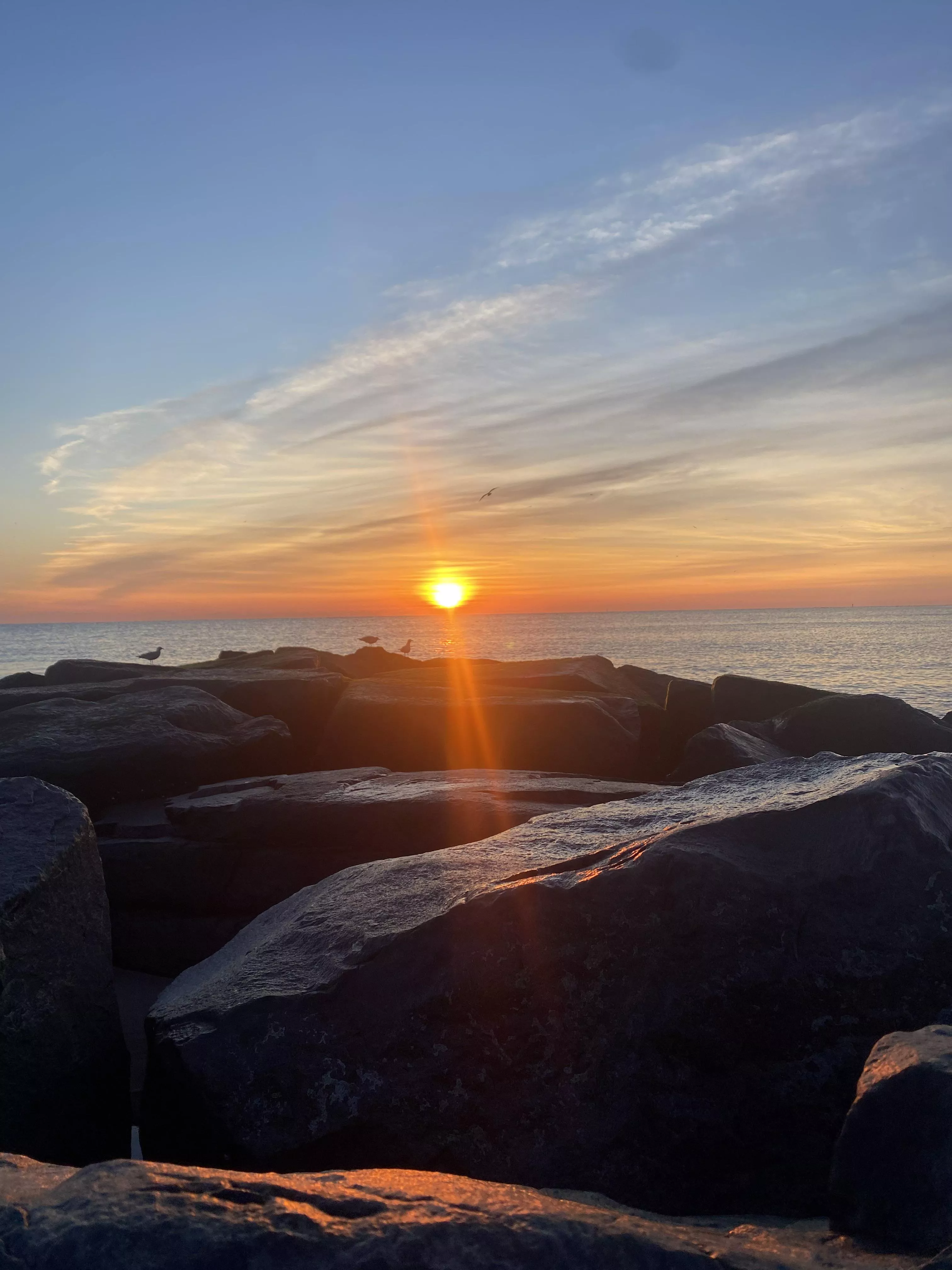 Another cold morning on the Jersey shore 🤙🏻🎶🎶