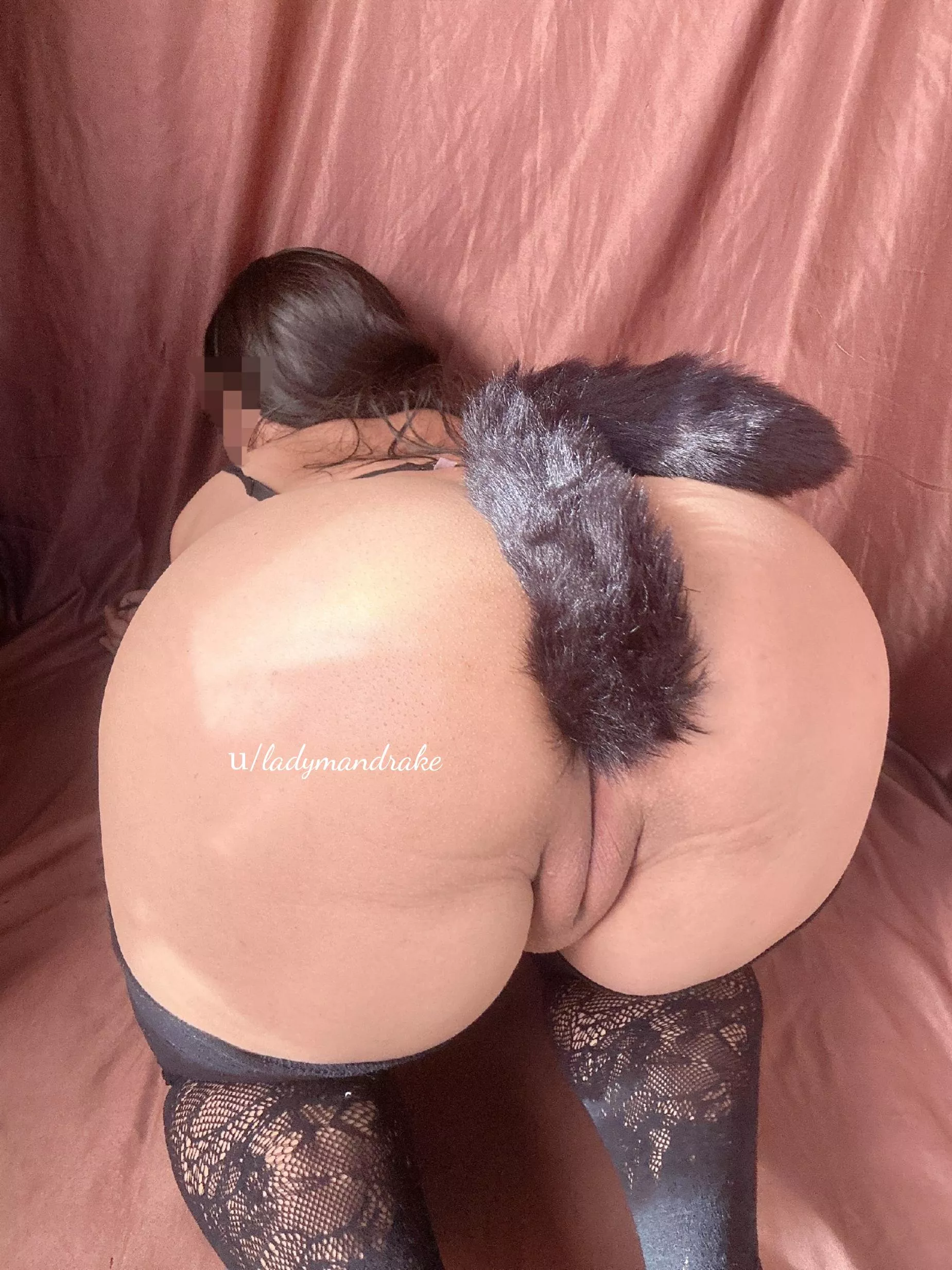 Finish your meal, make my legs shake