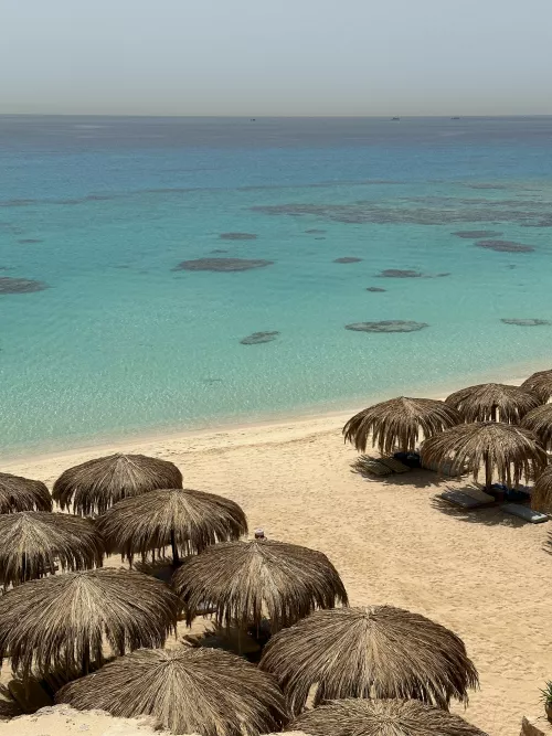 Giftun Island, Egypt - Crystal Clear Water & Golden Beach ✨