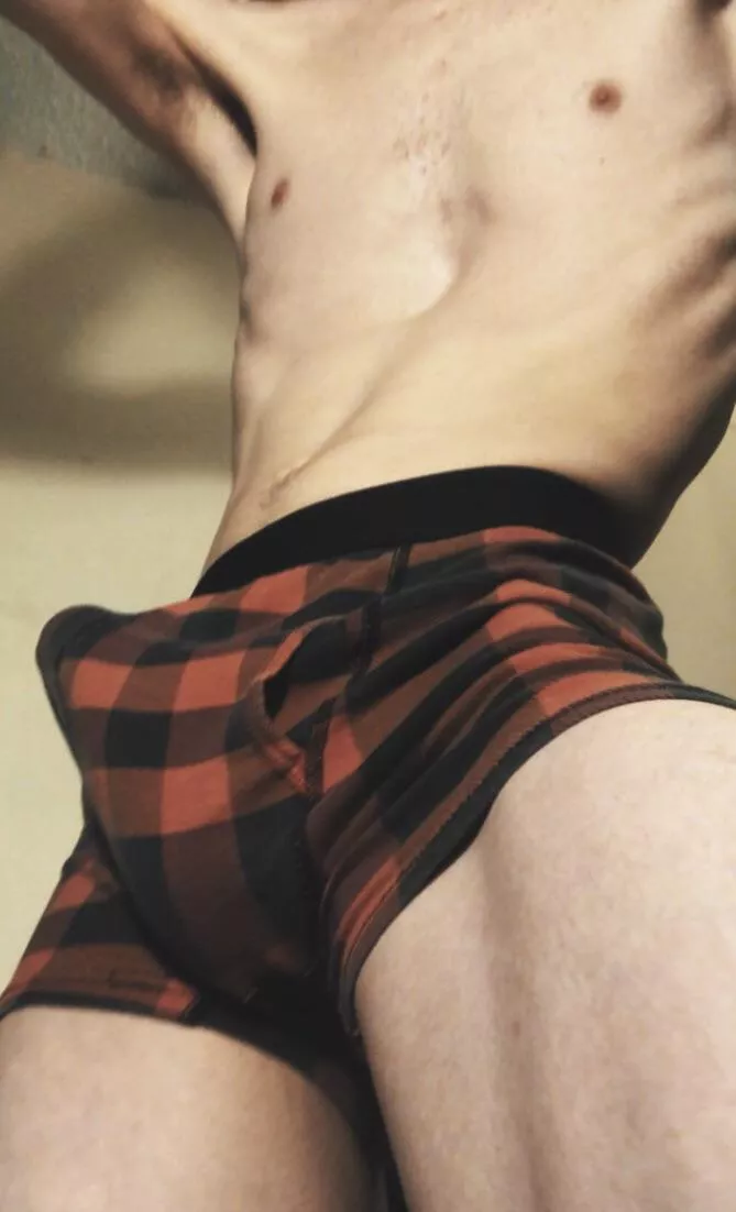 Hard in plaid