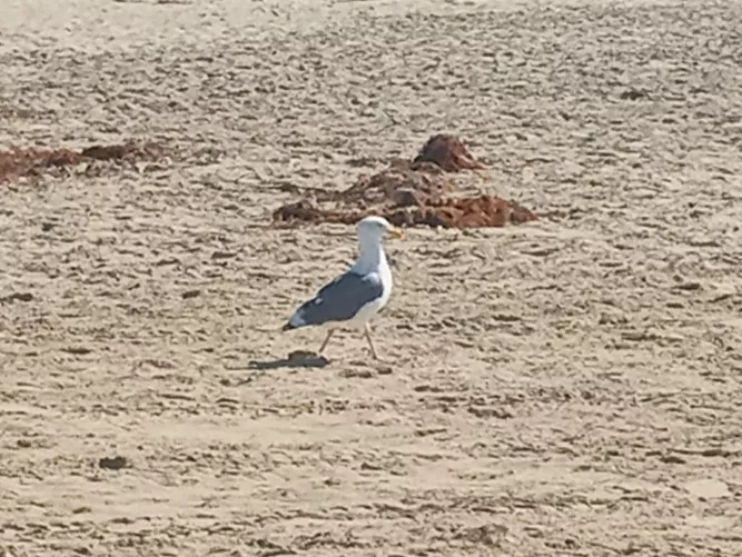 I got the place all to myself!