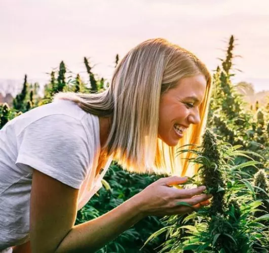 It took a lot of hard work, but I'm finally starting to get results from my new farm