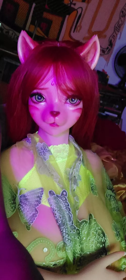 Kitty with the titty