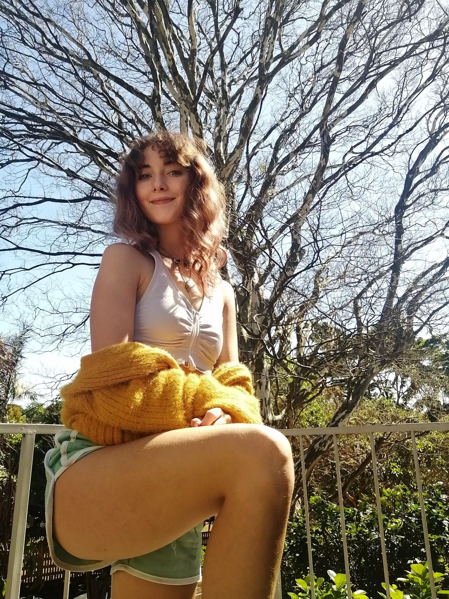 lost in a daydream, sitting here on this old fence F18