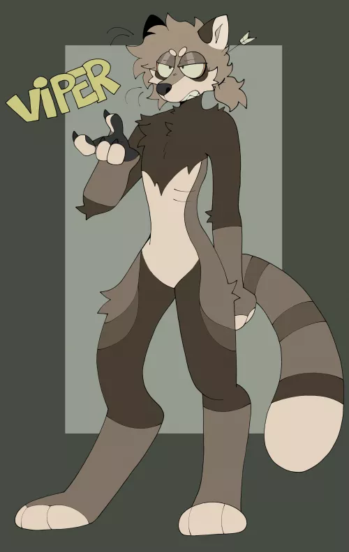 raccoon character design (my art)