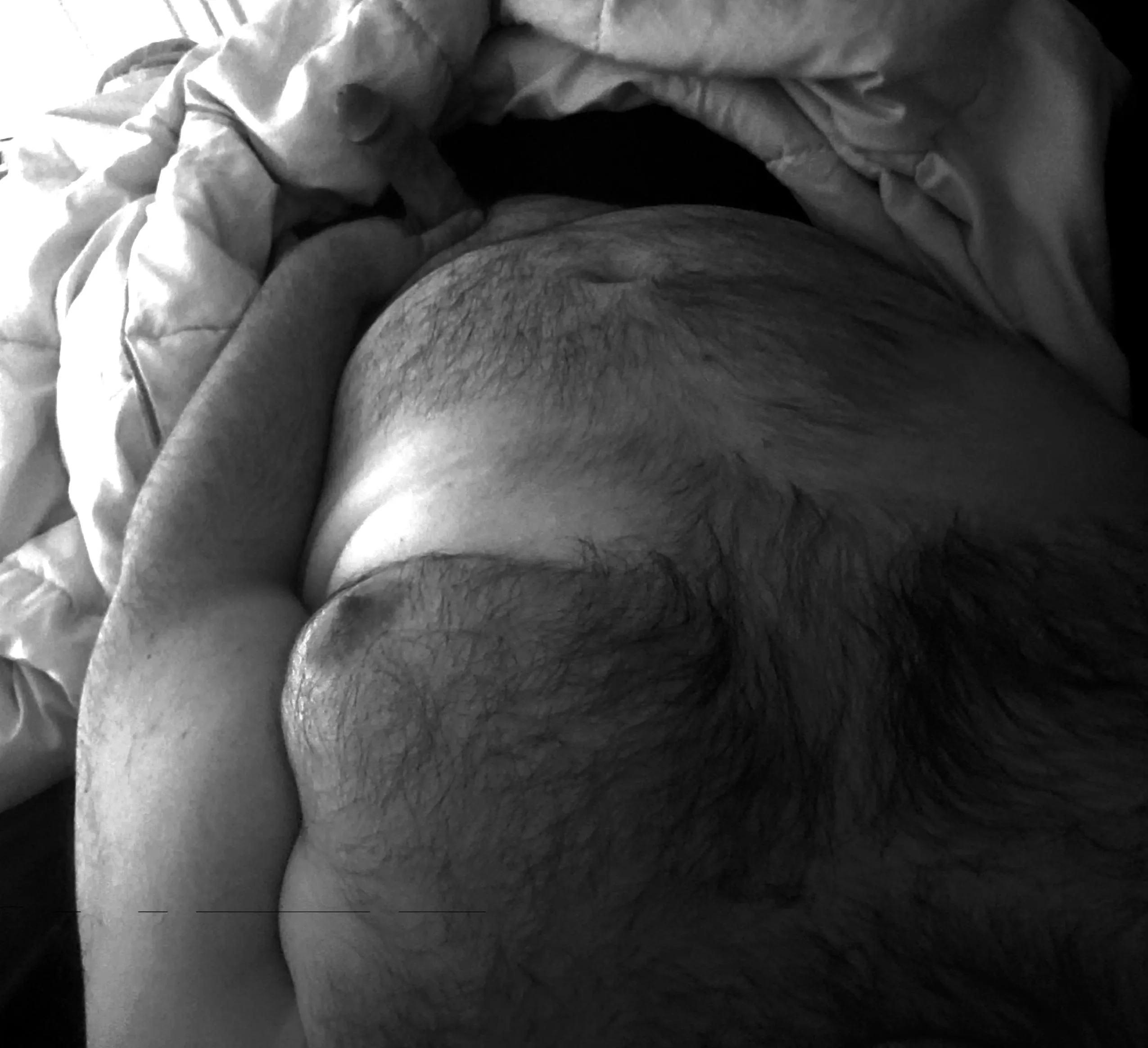 These cold nights are for the birds. Someone come help warm up the bed 😏