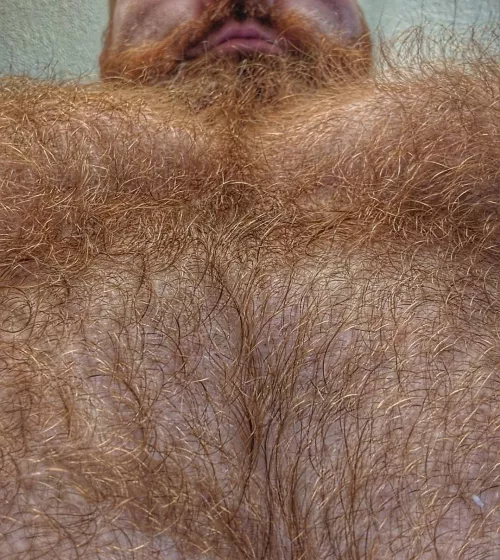 when the urge hits...