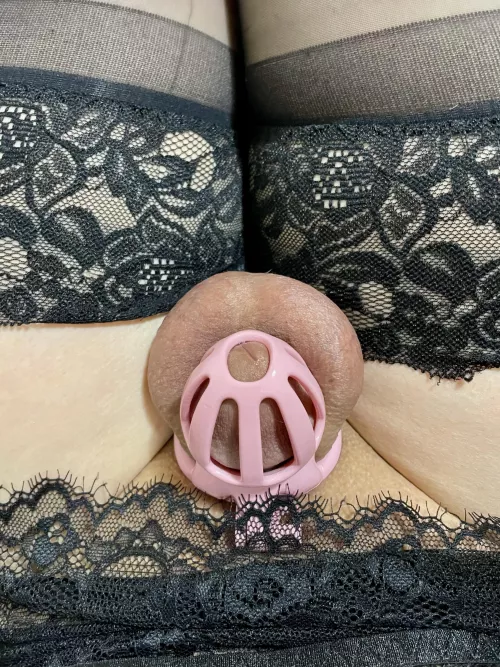 Where all asian clittys belong