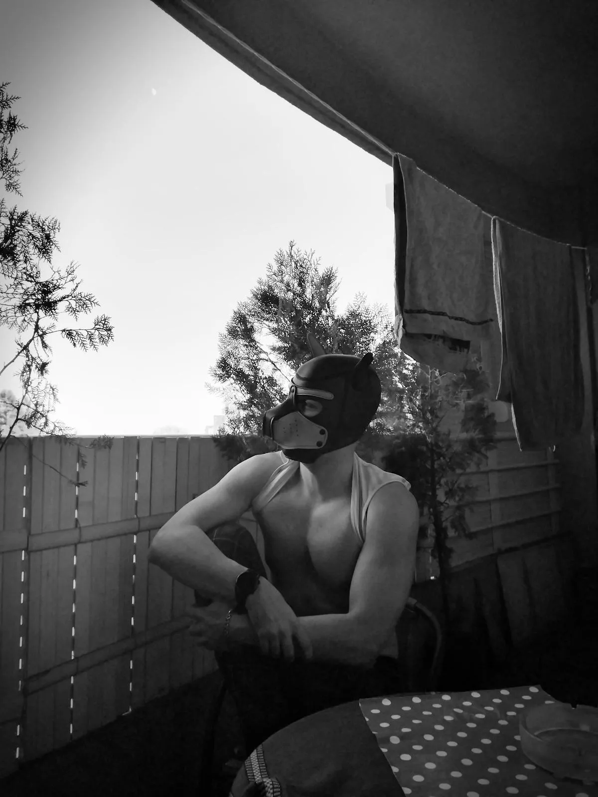 💭🗯️🗨️💭💬