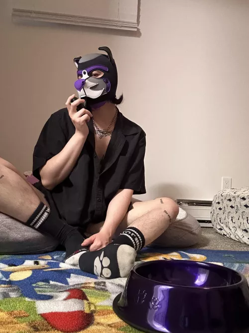 Do you like my new puppy set up?? Still need to put my flag up but it’s almost done