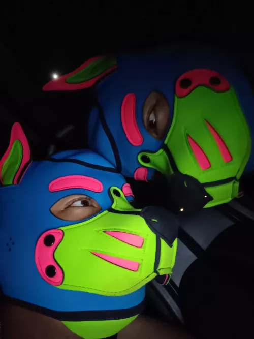 Grrrrrrr! This other dog was staring at me the whole car ride! WRUUUUFF! 