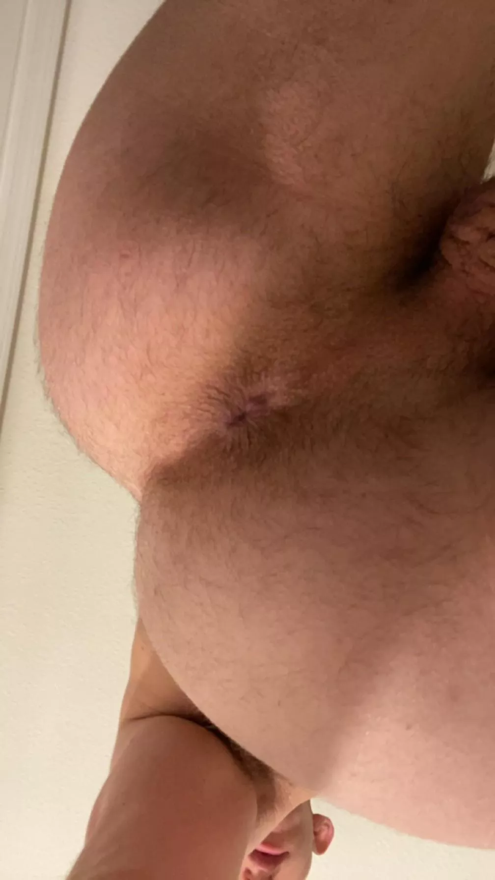 Here’s some furry hole for you