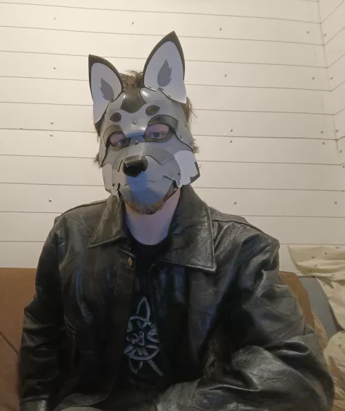 I won't start a howl I promise 😜