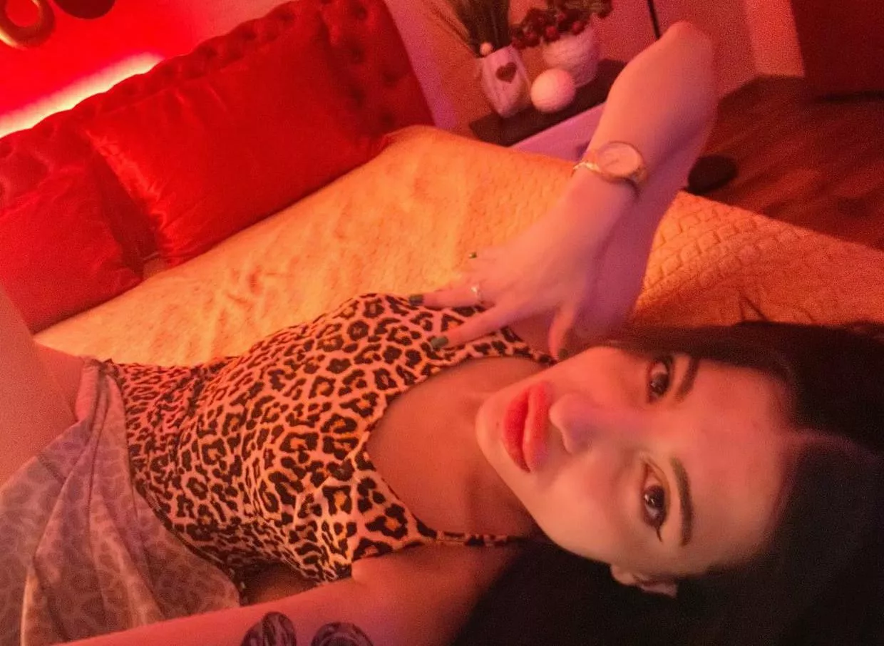 It is enough to make a cat laugh