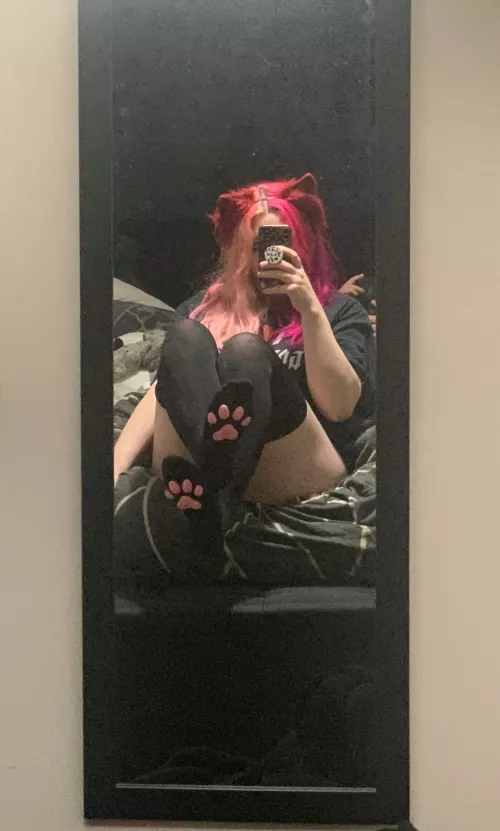 Look how cute my paws are 🐱