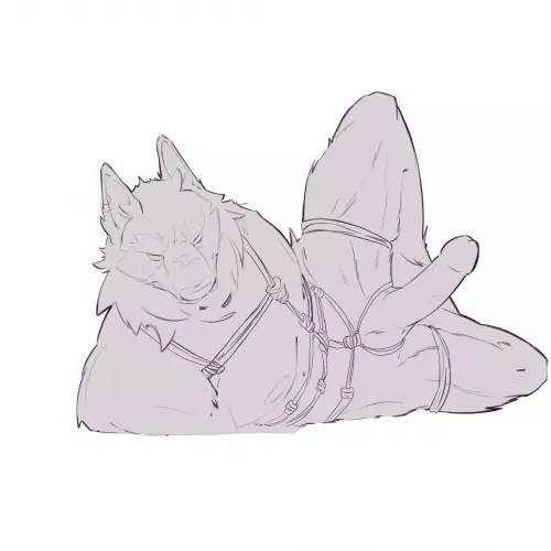 [M] Male Shibarii Wolf #wip (artwork done by me, Pinkfangsugar )