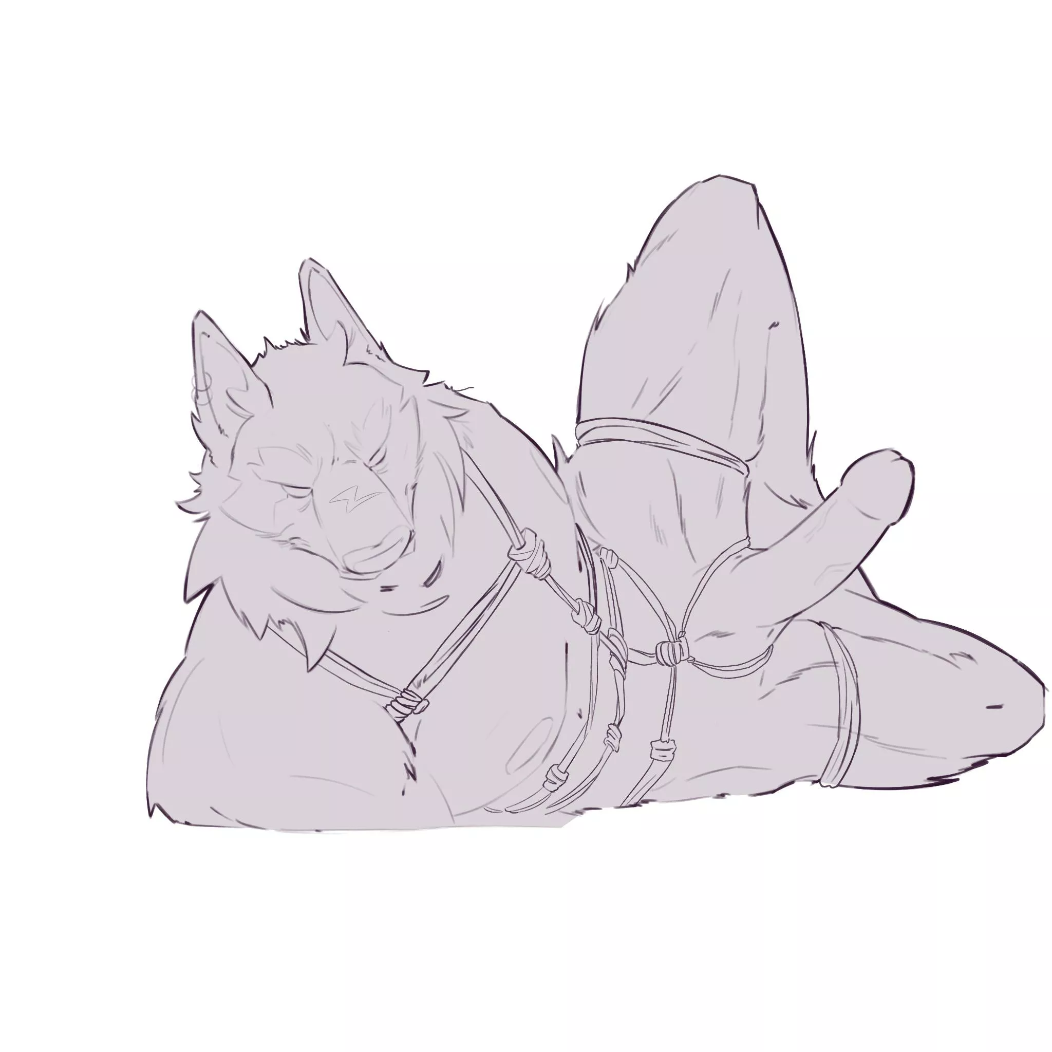 [M] Male Shibarii Wolf #wip (artwork done by me, Pinkfangsugar )