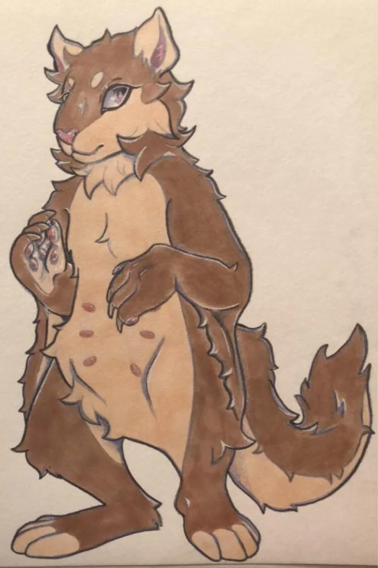 name suggestions for this flying squirrel?