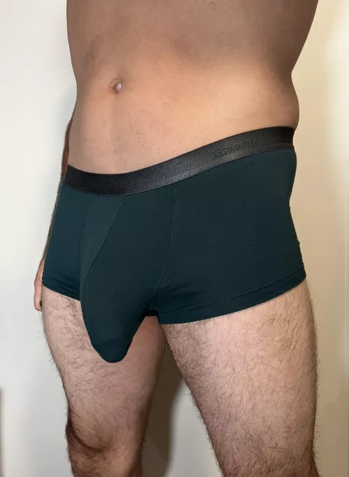 These interesting Amazon trunks
