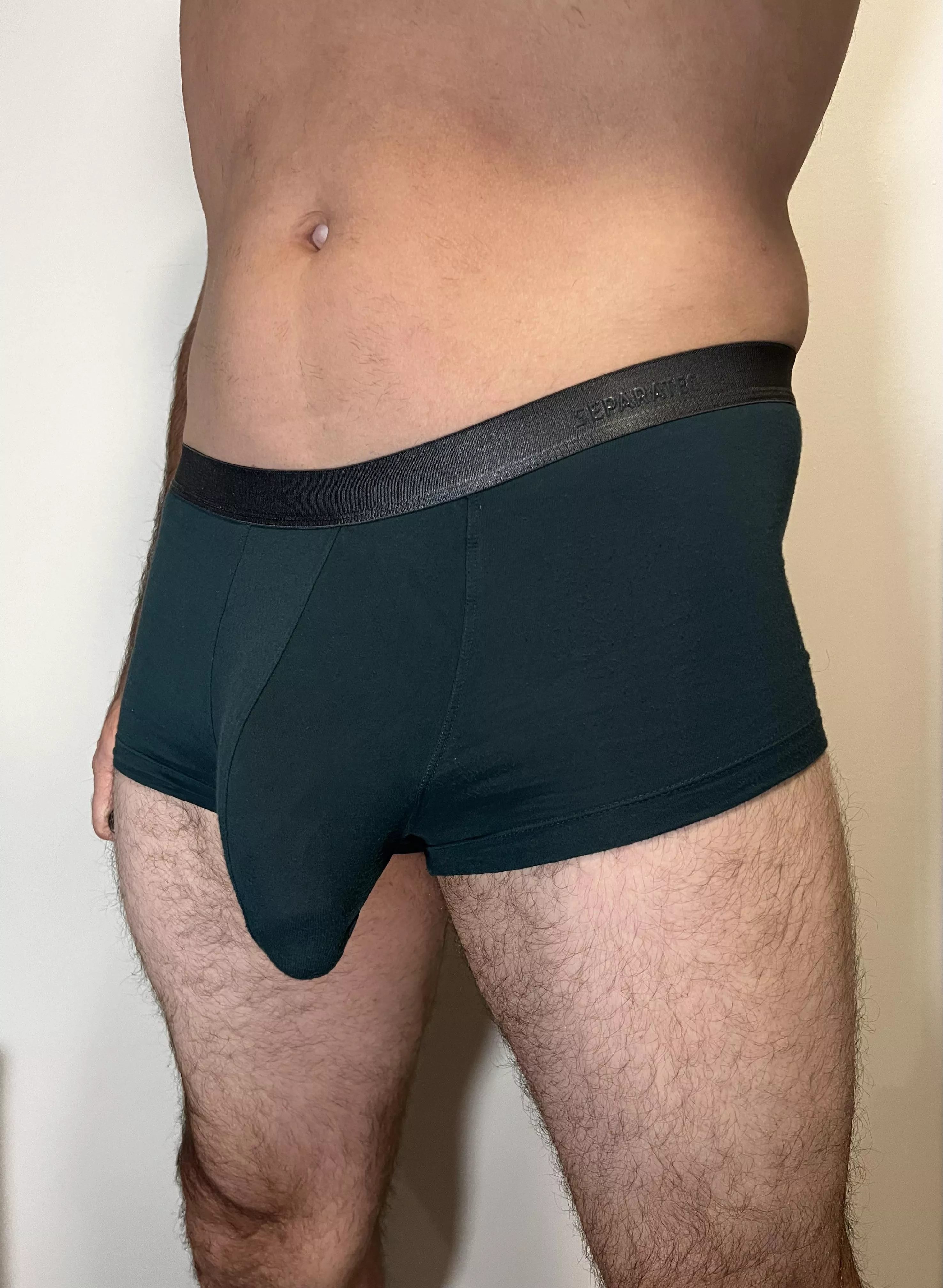 These interesting Amazon trunks