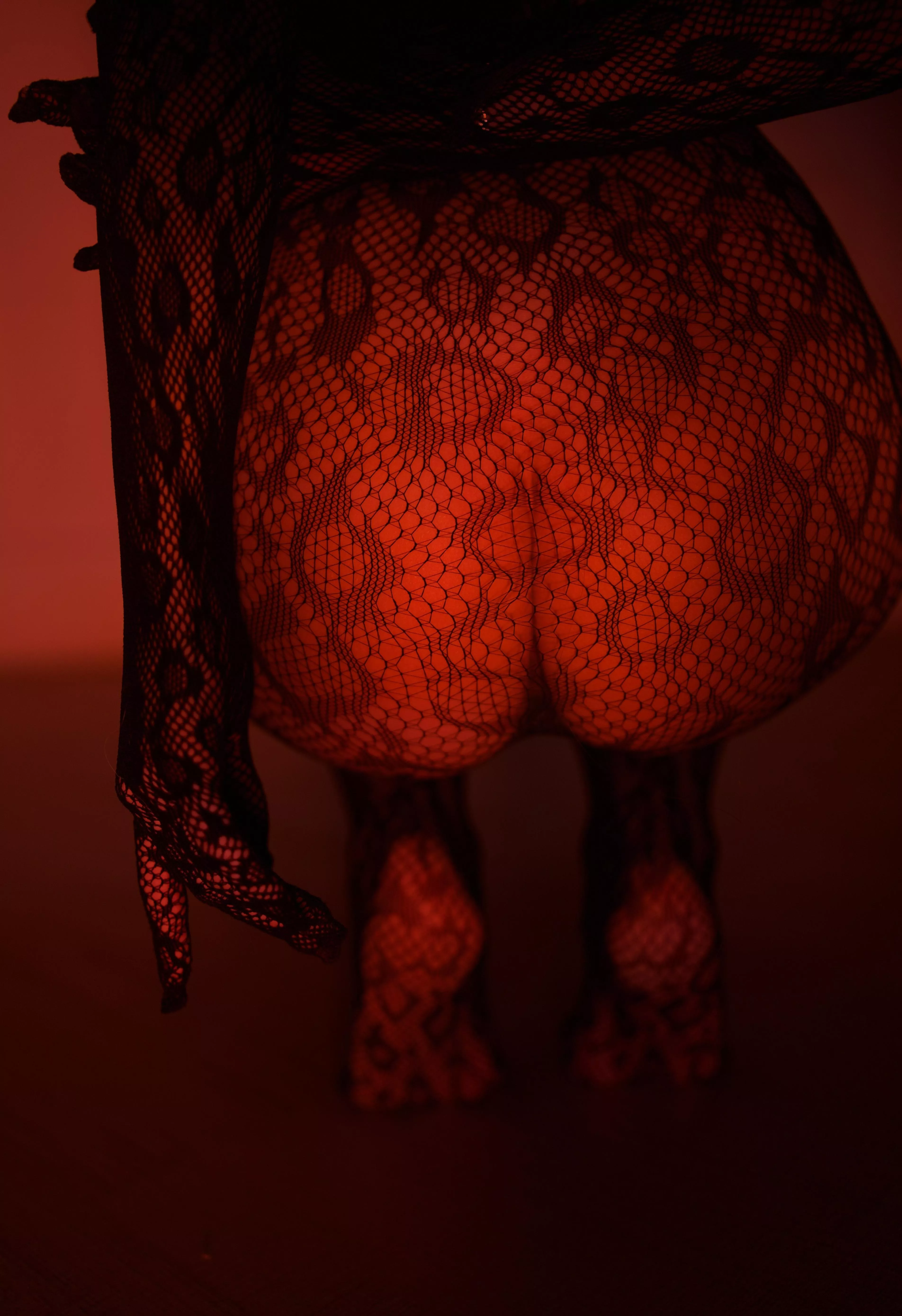 This wild cat will show you what passion is