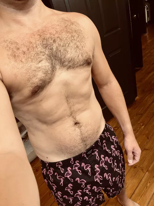 [34] Newest addition to the collection 