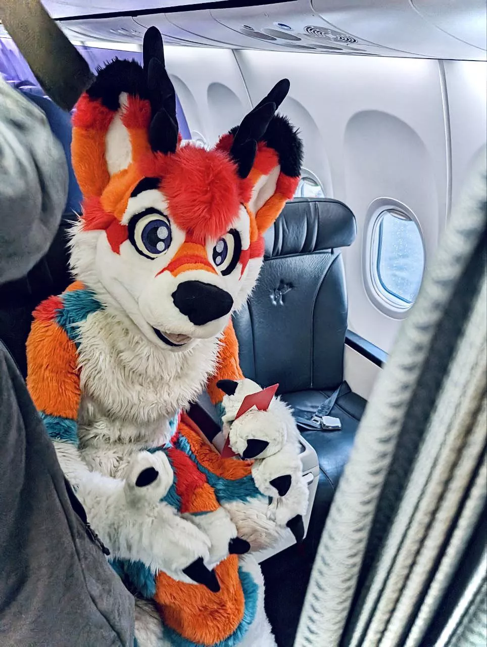Being Furry on a plane is so much fun!