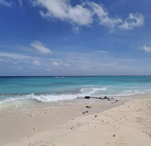 I see skies of blue
And clouds of white
The bright blessed day
The dark sacred night
And I think to myself
What a wonderful world