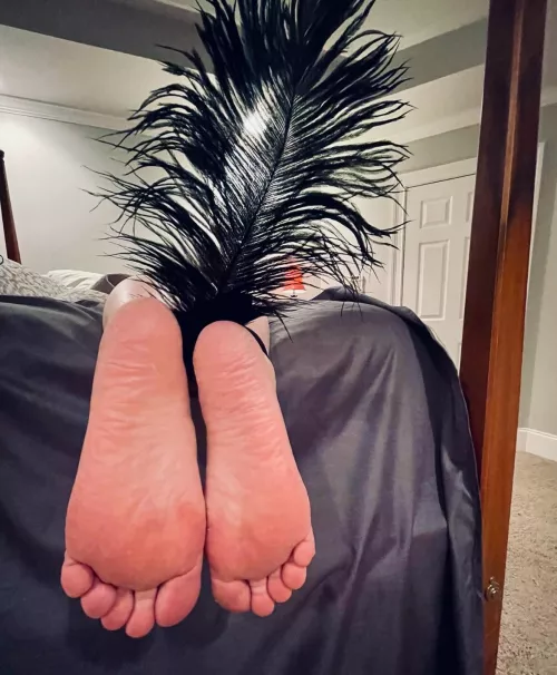 My feet, ankles tied, and a feather. 